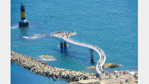 ‘물고기 보려다’ 부산 송도해수욕장 테트라포드 사이 추락한 60대 숨져