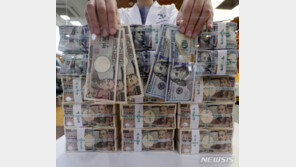 엔화값, 더 추락할까…日전문가 “올해 160엔 찍을수도”