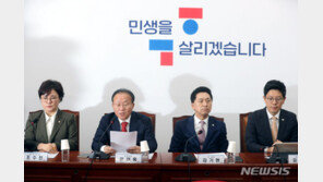 與 ‘포털 여론 조작’ 공세에 당내 “반국가세력 규정 안돼” 경계