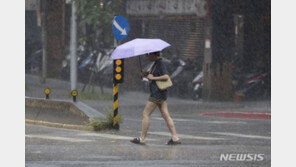 태풍 ‘고이누’로 대만서 190명이상 부상…17만가구 정전 피해