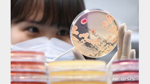 광주 도시락 납품업체발 식중독 의심 환자 400명 넘어