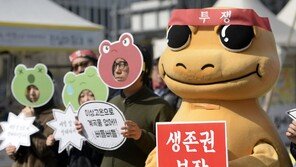 “‘방어막’ 없는 양서류. 기후변화에 41% 멸종위기”