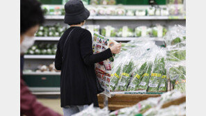 고유가속 농산물값 급등, 9월 물가 3.7% 뛰어… 5개월새 최대폭 