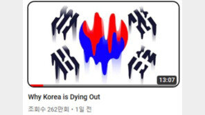 흘러내린 태극기 걸고 “한국 왜 망해가나”…2100만 유튜버 ‘저출산’ 저격