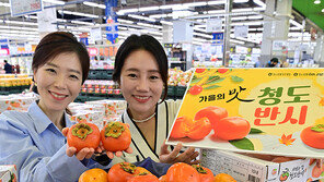 “씨 없는 청도 반시 드세요” 