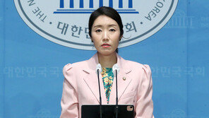 민주 “한글 세계가 인정한 한류 첨병…정치권, 막말 멈춰야”