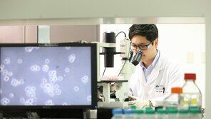 ‘통합 셀트리온’ 신약 개발 속도… 글로벌 ‘빅파마’ 도약 