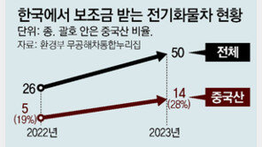 中 전기화물차, 韓보조금 받고 시장 잠식… 판매 20% 늘어 