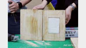 말레이시아서 수입된 나무도마, 시가가 2220억원?…비밀 풀어낸 경찰
