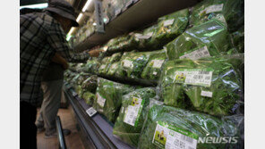 채솟값 비싸 고기먹기 겁나네…상추 50%·깻잎 15% 등 ‘껑충’