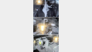 ‘강북 빈 상가 수십 곳 털이’ 20대, 구속 송치