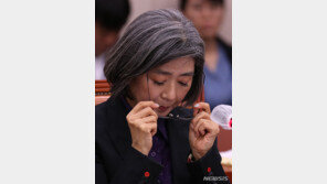 김행 “민주당 고발로 진실 밝혀질 수 있게 됐다…환영”