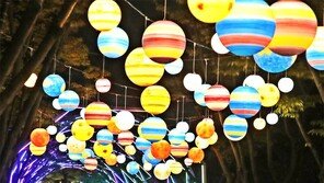 대전의 밤하늘 빛으로 반짝반짝