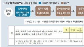 대통령실-법무부는 몰랐나? 눈감았나?… 부실 인사검증 논란[수요논점/길진균]