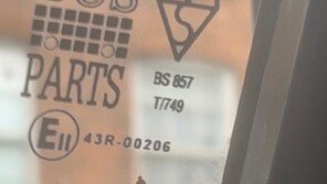 영국으로 번진 ‘빈대주의보’…런던 지하철·맨체스터 버스에 등장