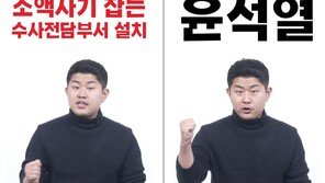 [단독]“소액사기 근절” 약속해 놓고 사이버 사기 전담기구 설치 손 놓은 정부