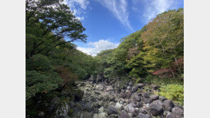 한라산 단풍 시작…지난해 보다 8일 빨라