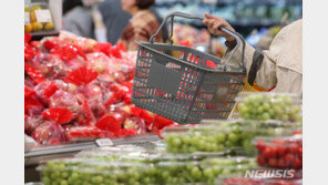 혼밥·밀키트·배달음식이 일상인 청년세대…문제는 ‘이것’