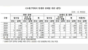 보세구역 밀수입 금액 5년새 43.6배↑…관세청 대책 필요