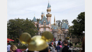 美 디즈니 테마파크 입장료 인상…방문객 감소 등 영향