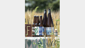 음성 보리 맥주, 화천 씨 없는 파프리카… 롯데백화점에 ‘지역 먹거리’ 다 모인다 