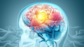 뇌의 발생-질병-작동 방식 밝힐 역대 최대의 ‘뇌세포 지도’ 나와