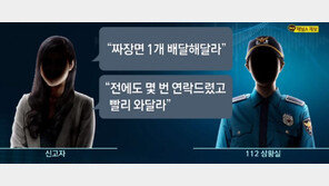 새벽 112에 “짜장면 빨리요”…여성 집 훔쳐보던 남성 체포