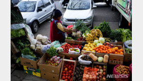 아르헨티나 물가상승률 12.7%…32년 만에 최고치 기록