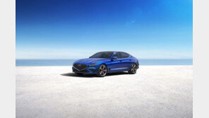 G80·GV80만 ‘나홀로 흥행’…고민 많은 제네시스