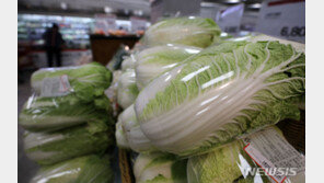 정부, 김장용 배추 공급 충분할 듯…이달 중 수급 대책 마련