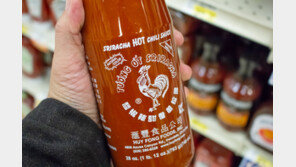 기후변화로 드리운 식량위기 그림자…대체 원료 개발 시도도