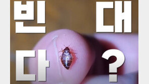 彿 골칫거리 빈대가 한국에도?…사우나에 드글드글