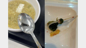 감자탕에 벌레 수십마리, 김치에 케이블타이…유명대학 학식 ‘경악’