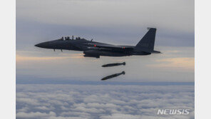 “이스라엘, 15~16일 가자지구에 합동정밀직격탄 공격 계획…지상전 뒤따를 것”