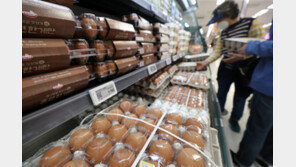 계란값도 껑충… 특란 30구에 평균 6644원 