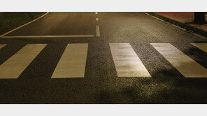 밤에 횡단보도서 넘어진 보행자 치어 숨지게 한 운전자 ‘무죄’