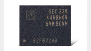 “차세대 DDR5 없어서 못판다”…삼성·SK하닉, 고부가 D램 증산