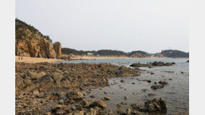 태안 파도리 해수욕장 인근서 해루질하던 20대 남성 실종 