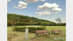 난지한강공원 ‘세븐틴숲’ ‘박서함숲’ 생겼다…스타숲 10개 조성