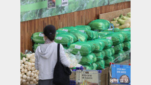 물가 안정 위해 배추 2200톤 집중 공급…천일염은 반값에