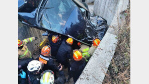 12살 손자 숨진 ‘강릉 급발진 의심 사고’ 할머니…‘혐의없음’ 불송치