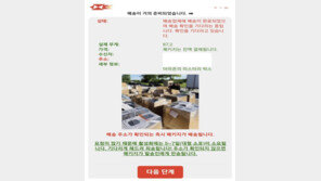 “이메일로 우편물 반송료 요구?…피싱에 넘어가지 마세요”