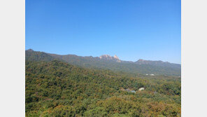 북한산 올해 첫 단풍 관측…지난해보다 하루 빨랐다