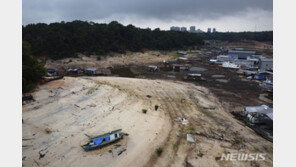 가뭄에 배도 못다녀…아마존강 수위 121년 만에 최저