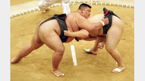 “비행기 1대로 안돼”…스모선수 몰리자 日 항공사 증편