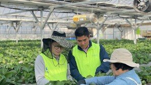 농협중앙회 농협경제연구소, 수확철 일손돕기 실시