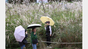 수도권 새벽부터 최대 40㎜ 비…오후 전국으로 확대