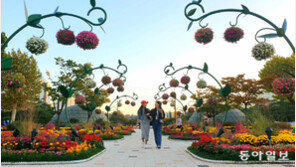 가을꽃과 함께 웃음꽃도 활짝 