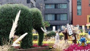 국화와 억새로 단장한 코끼리 조형물 