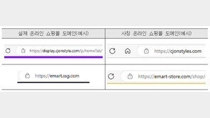 “현금 결제하면 할인해드려요”…유명 온라인 쇼핑몰 사칭 사기 급증